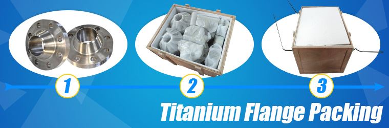 DIN titanium flange