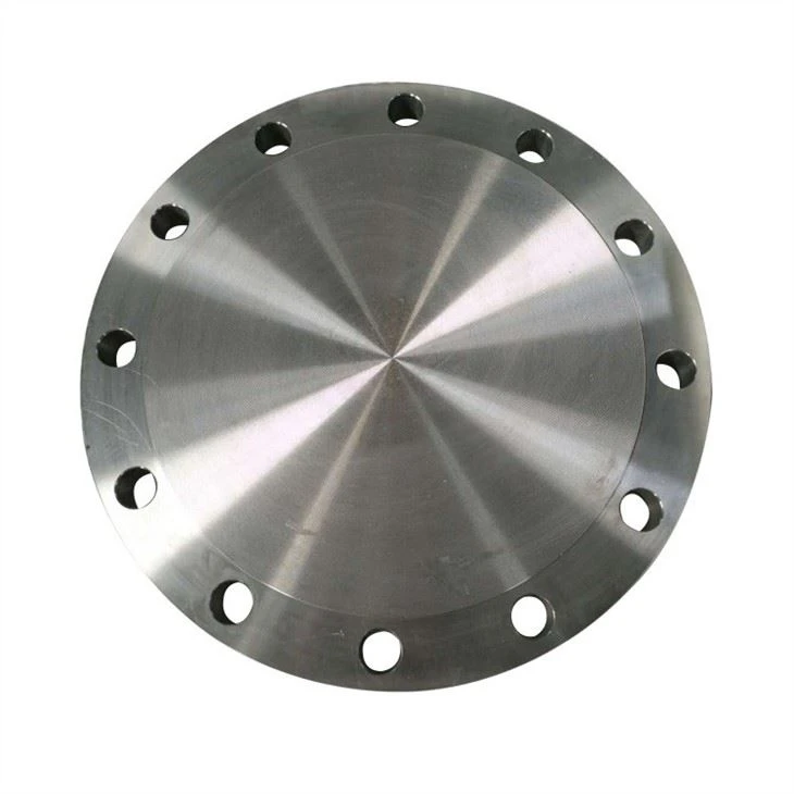 ANSI B16.5 Titanium Flange
